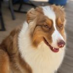 Profile Picture of Isabelle Clarke Garibaldi (@icgaribaldi) on Instagram