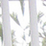 Profile Picture of Phyllis Johnson (@pj1229) on Flickr