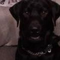 Profile Picture of Richard Daubney (@richard-daubney) on Quora