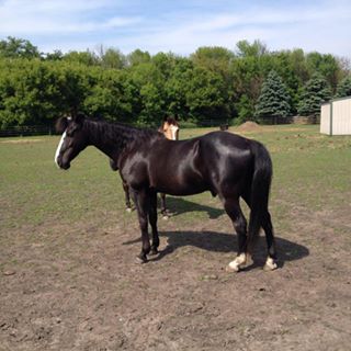 Profile Picture of Fred Pompei (@Fred-Pompei) on Facebook