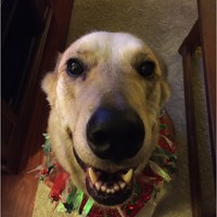 Profile Picture of Pat Mccabe (@pat-mccabe-6) on Quora