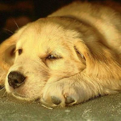 Profile Picture of Pier Gary (@PierGary) on Twitter