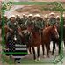 Profile Picture of Donald Hatton (@donald.hatton.507) on Facebook