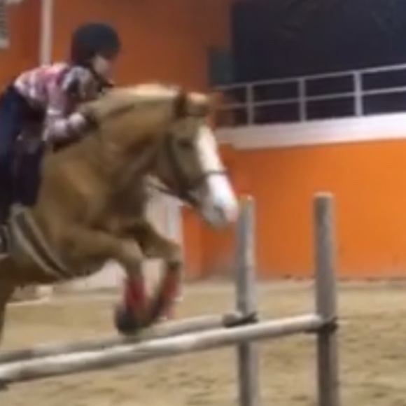 Profile Picture of Brynne Bytnar (@brynneebytnar21) on Poshmark