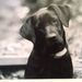 Profile Picture of Alec Gifford (@alecgifford) on Pinterest