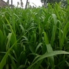 Profile Picture of TOMMY darling (@@user36822236) on Tiktok