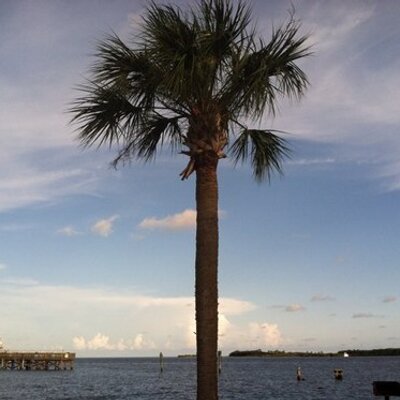 Profile Picture of Peter Montemurro (@MontMHS) on Twitter