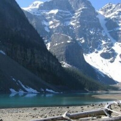 Profile Picture of Debbie Crouch (@3a997defe50f493) on Twitter