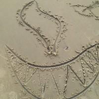 Profile Picture of Edelmiro Rodriguez (@edelmiro-rodriguez-1) on Quora