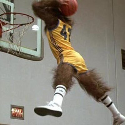 Profile Picture of Dave Stoller (@dstoller15) on Twitter