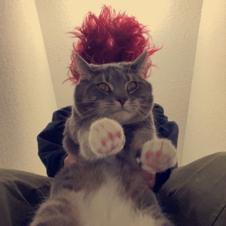 Profile Picture of Zach Miller (@@space_invader132) on Tiktok