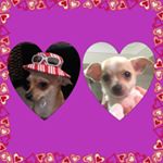 Profile Picture of Josey Berri 🍒& Jeffrey Collins (@joseyjeffrey) on Instagram