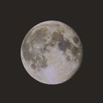 Profile Picture of 루나 유머 (@luna.tving) on Instagram