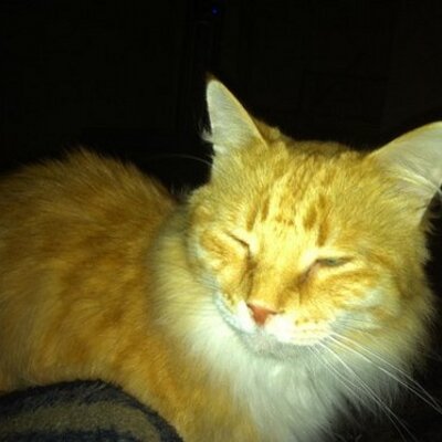Profile Picture of Kristin Shackelford (@kristin0714) on Twitter