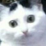 Profile Picture of хочу большой попкорн 🧝🏻‍♀️🧠🍿 (@frutellaxbrian) on Instagram