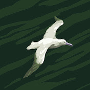 Profile Picture of Kyle Slade (@kyleslade2516) on Youtube