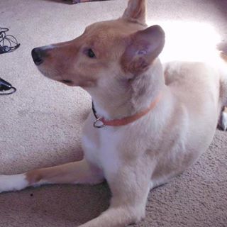 Profile Picture of Charletta Wright (@charletta.wright) on Facebook