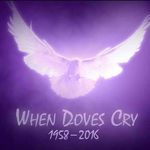 Profile Picture of Lina Turner Allen (@linaallen0326) on Instagram