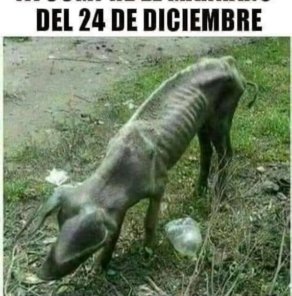 Profile Picture of Zach Czuk (@czukthecrook) on Poshmark