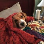 Profile Picture of George shipps (@shippsgeorge) on Instagram