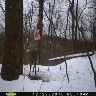Profile Picture of Bradley Thacker (@bhthack2) on Twitter