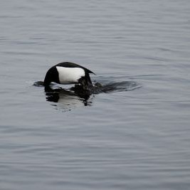 Profile Picture of David Hutton (@welshdai15) on Twitter