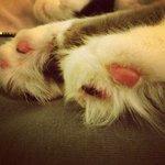 Profile Picture of Neil Kamphoefner (@neilkamphoefner) on Instagram