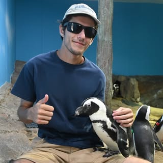 Profile Picture of Carlos (@_carlos_suarez_) on Instagram