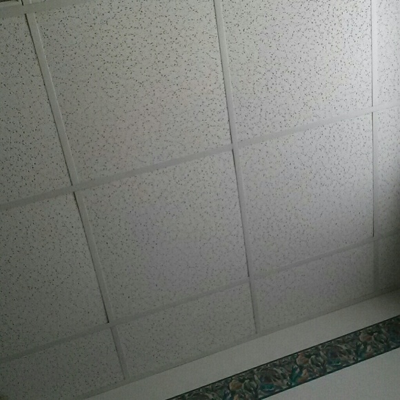 Profile Picture of Terry Biesiada (@terrybiesiada) on Poshmark