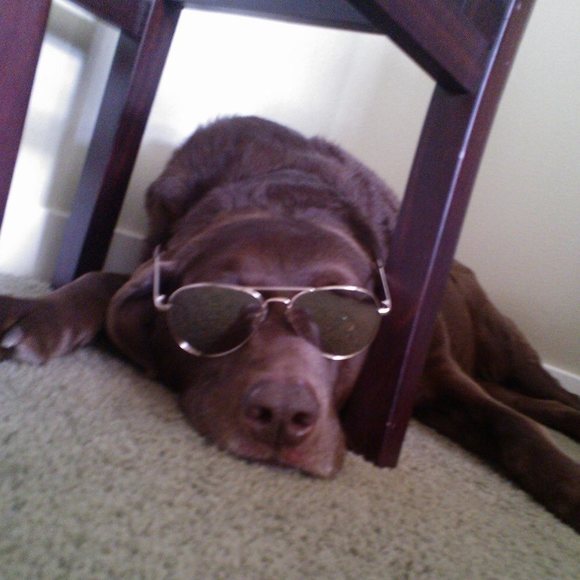 Profile Picture of Cindy Alexander (@c_alexander07) on Poshmark