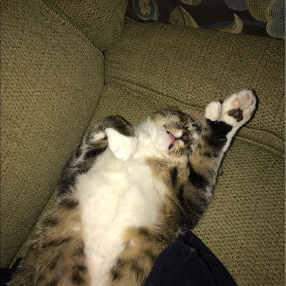 Profile Picture of Trish Letourneau (@trishlet1214) on Poshmark