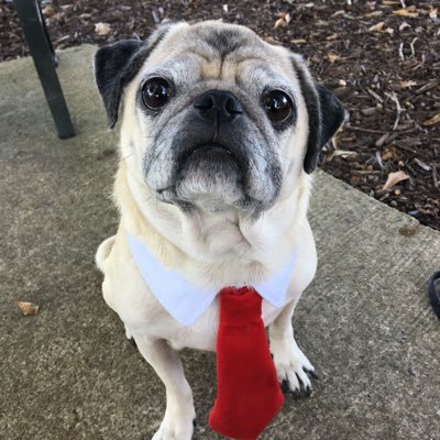 Profile Picture of James A. Avila (@JAAvila0918) on Twitter