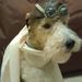 Profile Picture of CJH (@coreyhyatt) on Pinterest