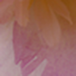 Profile Picture of Pure Handmade (@pure handmade) on Flickr