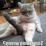 Profile Picture of Zachary (@spongebobs_son) on Instagram