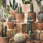 Profile Picture of Makayla {Aguiar} Cordeiro (@tt_hairstudio) on Instagram