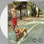 Profile Picture of Seby Gernone (@sebygernone) on Instagram