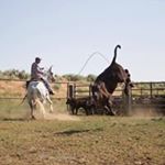 Jim Mathis - Instagram Profile Picture of Jim Mathis (@gittaway) on Instagram