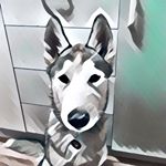 Profile Picture of Ian Byron (@ian.byron.7) on Instagram