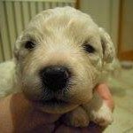 Profile Picture of Gena Warren (@gena.w) on Instagram