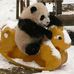 Profile Picture of Jiawei Zhao (@jiawei.zhao.391) on Facebook