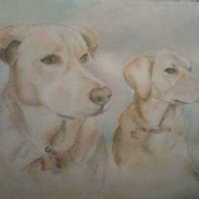 Profile Picture of Joe Harp (@Teamtrks) on Twitter