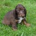 Profile Picture of Max Field (@max.field.522) on Facebook
