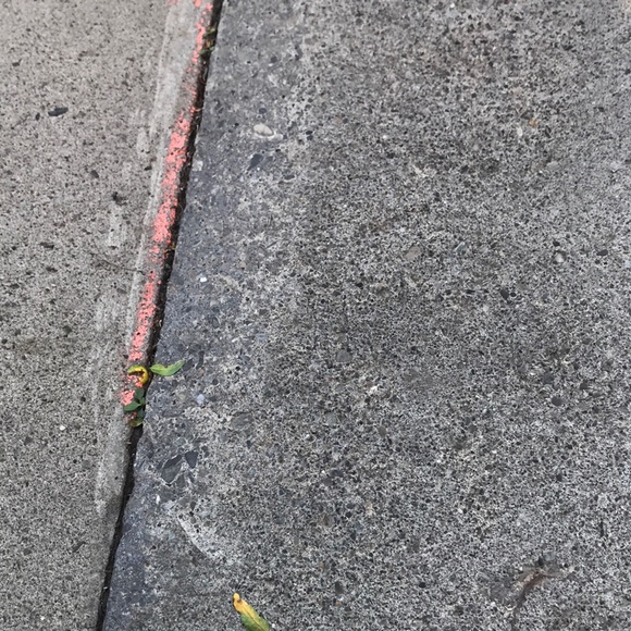 Profile Picture of Willa Jaymes (@yup571) on Poshmark