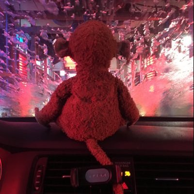 Michael Agnoli - Twitter Profile Picture of Michael Agnoli (@MichaelAgnello8) on Twitter