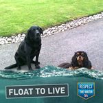 Profile Picture of Simon Richard (@simon.richard.102) on Instagram