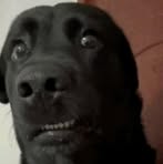 Profile Picture of Eric Marks (@eric.marks.103309) on Facebook