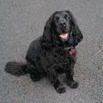 Profile Picture of Devin O'Connor (@devo._.connor) on Instagram