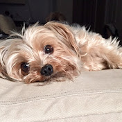 Profile Picture of Natasha Cordova (@shq1970) on Youtube