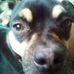 Profile Picture of Bob Arnold (@bob.arnold.35175) on Facebook